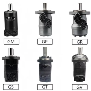 Motore Idraulico Professionale Personalizzato GRH, 12 cm di Corsa, 50 Nm di Coppia Continua, 2000 RPM, Pressione 3000 psi - Product Image 1