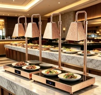 Lampe chauffante électrique haut de gamme pour buffet, à double tête martelée, avec contrôle numérique de la température, pour hôtels et restaurants