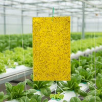 Nieuwe binnenmuggen- en fruitvliegbestrijding, populaire gele kleefvallen, veilig en niet-toxisch