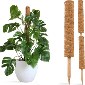 Tutor para Plantas de Monstera, Varillas y Estacas Extensibles, Soporte para Uso en Interiores/Exteriores, Ecológico y Biodegradable - Product Image 1