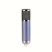 Équipement de studio d'enregistrement TNH CM-F22, microphone à condensateur avec support antichoc pour l'enregistrement de karaoké familial