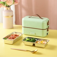 Mini chauffage 2 couches cuiseurs à riz chauffés Portable électrique Food110v 220v plus chaud cuit à la vapeur cuisson boîte à lunch