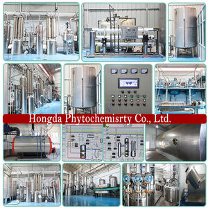 HONGDA Solúvel Em Água 20% Pó do Extrato de Raiz de Kudzu <span class=keywords><strong>Puerarin</strong></span> - Product Image 5