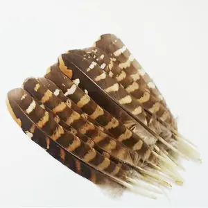 Plumas de faisán para atar moscas, material de cola de ala, 12cm, 18cm de longitud, venta al por mayor