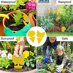 Trampas Adhesivas Amarillas Personalizadas OEM para Moscas e Insectos, Trampa para Moscas de la Fruta y Mosquitos, No Tóxica, Protección de Plantas, Tabla Adhesiva - Product Image 6