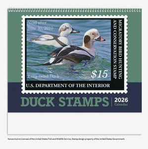 Calendriers de rendez-vous publicitaires personnalisés avec logo, motif canard, 2027, cadeau promotionnel, vente en gros, entreprise, 12 mois - Product Image 3