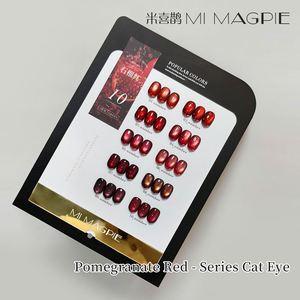 Set de Esmalte de Gel Ojo de Gato 9D de Marca Privada, 10 Colores, 15ml, Magnético, AILANUO, de China - Product Image 2