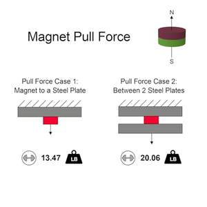 Rongteng n52 דיסק מנגטים <span class=keywords><strong>1</strong></span>/<span class=keywords><strong>2</strong></span> \ "d x <span class=keywords><strong>1</strong></span>/<span class=keywords><strong>4</strong></span> \" h 20 חבילה סופר חזק <span class=keywords><strong>1</strong></span>/<span class=keywords><strong>2</strong></span> אינץ - Product Image 4