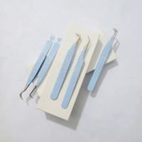 Pinzas para Extensión de Pestañas de Alta Calidad, Diferentes Estilos, Recubrimiento en Polvo Azul Claro con Diseño de Copo de Nieve, Logotipo Personalizado, Instrumento de Belleza