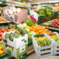 Caisse en carton alvéolaire PP pour légumes, fruits, pastèques, mangues – Boîte d'exportation pliable, fabricant OEM, boîte en plastique ondulé sur mesure