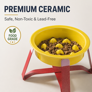 Bol de nourrissage lent pour animaux de compagnie en céramique écologique de haute qualité avec support en métal, alimentation lente pour éviter l'étouffement, bol pour chien, bol pour chat - Product Image 2