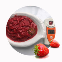 XMSD Diepvries Aardbeienpuree voor de voedingsindustrie, yoghurt, snacks, babyvoeding en fruitproductenlijnen
