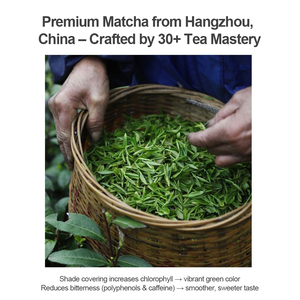 Boîte Cadeau Personnalisée en Gros, Poudre de Matcha Qualité Barista 100% Naturelle pour Salons de Smoothies & Hôtels, Emballage Personnalisé Disponible - Product Image 3