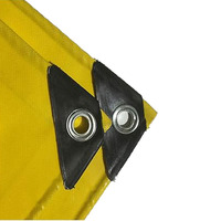Bâche de camion robuste en PVC du fabricant, imperméable, pour extérieur, tente de protection, enduite, tissée, pour usage soleil et pluie