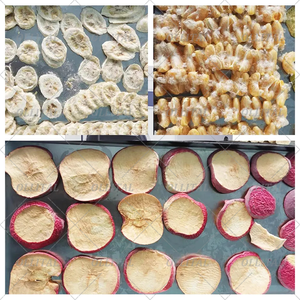 Chất lượng cao đóng băng Máy sấy đóng băng máy sấy để làm Trái Cây Rau thực phẩm đông khô sản phẩm để bán - Product Image 6