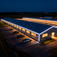 Conception de bâtiment préfabriqué en acier léger de 1000 m², poulailler modulaire préfabriqué, poulailler industriel automatique