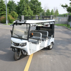 Tricycle Électrique Fermé 1000W 60V, <span class=keywords><strong>Taxi</strong></span> Passager Entièrement Fermé 9 Places, Rickshaw Électrique à 3 Roues pour Adultes, Transport Urbain - Product Image 2
