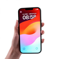 Vente directe d'usine SINLOCE, écran OLED 6,68 pouces, garantie 1 an, compatible avec iPhone 13 Pro Max