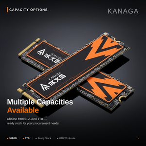KANAGA G4100 M.2 NVMe SSD 5000MB/s PCIe 4.0 X4 Disque dur interne 512GB 1TB pour PC de bureau et domestique - Product Image 5