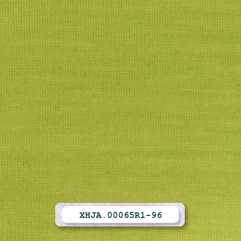 XHJA.00065R1-96