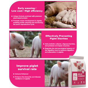 <span class=keywords><strong>นม</strong></span>ทดแทนสำหรับลูกสุกรพรีเมียม - สูตร<span class=keywords><strong>นม</strong></span>แม่สำหรับลูกสุกร<span class=keywords><strong>แรก</strong></span><span class=keywords><strong>เกิด</strong></span> ช่วยเสริมการย่อยอาหารและการเจริญเติบโต <span class=keywords><strong>สำหรับ</strong></span>ฟาร์มสัตว์ - Product Image 6