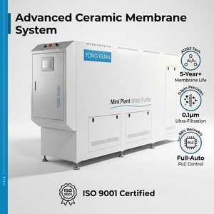 Système de traitement de l'eau à membrane céramique industrielle 50-350 l/h – Purificateur de filtration pour maison, école, village, usine - Product Image 1