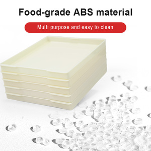 Vassoio per Sushi in Plastica ABS di Grado Alimentare, Contiene fino a 80 Rotoli di Riso e Verdure, Piatto da Portata Riutilizzabile per Ristoranti e Uso Domestico - Product Image 1