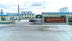 <span class=keywords><strong>Levadura</strong></span> <span class=keywords><strong>Seca</strong></span> Instantánea Profesional Saccharomyces Cerevisiae en Polvo, Certificada Halal, <span class=keywords><strong>Levadura</strong></span> para Panadería 500g <span class=keywords><strong>de</strong></span> Fábrica - Product Image 4