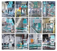 Machine de scellage thermique personnalisée, capacité 5-50 kg, pour l'emballage de riz et de farine, avec convoyeur de film, pour scellage thermique de sacs, occasion