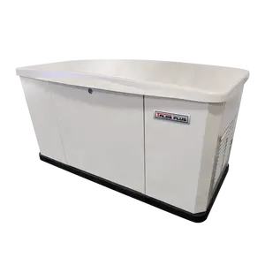 Generatore di Standby domestico a propano liquido da 15kW/Gas naturale