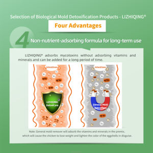 EGDOO Détoxifiant enzymatique professionnel 2,5 % Prémélange vitaminique <span class=keywords><strong>pour</strong></span> volailles <span class=keywords><strong>pour</strong></span> <span class=keywords><strong>poules</strong></span> <span class=keywords><strong>pondeuses</strong></span>, poulets reproducteurs, optimisation de l'élevage de <span class=keywords><strong>poules</strong></span> <span class=keywords><strong>pondeuses</strong></span> - Product Image 6