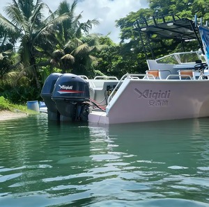 Motor de Gasolina de 20 HP, 2 Tiempos, Refrigeración por Agua, Control Manual, 13.2 KW - Product Image 2