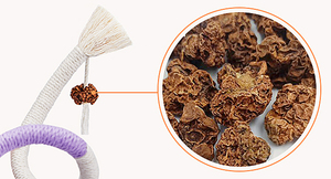 Brinquedos para gatos Chew Ropes Safe Teeth Cleaning <span class=keywords><strong>Toy</strong></span> para gatinhos interiores, Brinquedos interativos <span class=keywords><strong>Cat</strong></span> Nip Kitty para todas as raças - Product Image 5