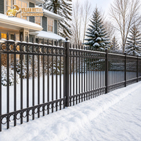 Sierlijk gelaste aluminium hekwerkpaneel met speeropzet, tuinbeveiliging, zwart gepoedercoat, Canada, op maat gemaakt