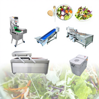 Sus 304 Saladeverwerkingsmachine, Saladesnijder, Apparatuur voor het wassen en snijden van koolsalade