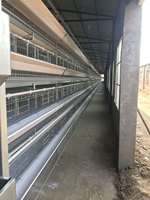 BANGYUAN AYA-600 – Nouvelle Cage Automatique Moderne pour Poules Pondeuses (90-200 œufs) – Prix Usine – Modèle à Batterie