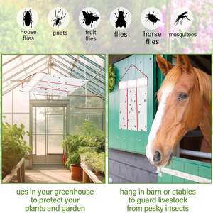 Pita Perekat Pembunuh Serangga Ramah Lingkungan dari PP Solid Dua Sisi untuk Pengendalian Hewan & Serangga - Product Image 2