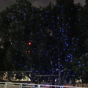 Projecteurs de Spectacle de Lumière Laser RVB 5W Plein de Couleurs Firefly Ciel Étoilé Etoiles Étanche Jardin Parc DMX512 - Product Image 1