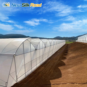 Lớn đa-span nhà kính nông nghiệp với chi phí thấp răng cưa thiết kế thủy canh thực vật thân thiện <span class=keywords><strong>Poly</strong></span> phim Bìa - Product Image 4