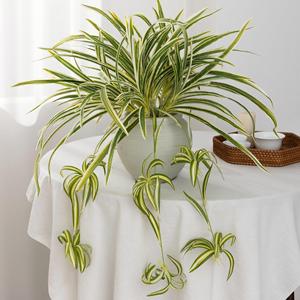 Plante artificielle suspendue Meng Jie en PVC, style naturel, 30cm-100cm, pour décoration intérieure de bureau - Product Image 2