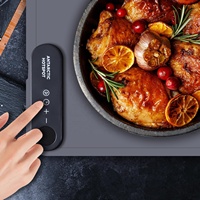 Tapis chauffant pour aliments 24x16 pouces, plateau chauffant électrique en silicone pour décongeler et maintenir les aliments au chaud pour les fêtes, les buffets et l'usage quotidien