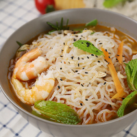 Zero Calorie Konjac Noodle Shirataki Pasta Konjac Instant Food