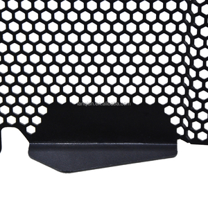 Protector de rejilla de radiador para motocicleta, accesorios para <span class=keywords><strong>BMW</strong></span> R1250R, cubierta protectora de radiador R 1250 <span class=keywords><strong>RS</strong></span> <span class=keywords><strong>R1250</strong></span> R, exclusivo deportivo 2019-2024 - Product Image 6