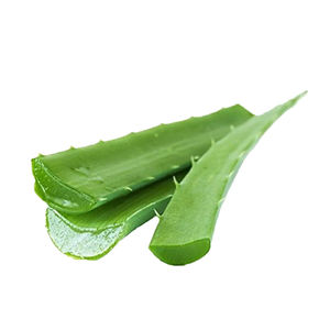 בתפזורת באיכות גבוהה טבעי אלוורה תמצית אבקת 98% אלוורה-<span class=keywords><strong>emodin</strong></span> - Product Image 3