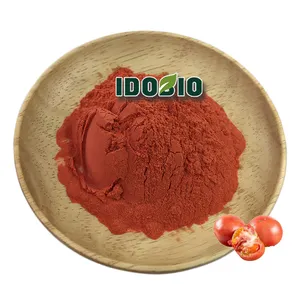 100% Pure Best Price Pigment Tomato Extract Powder Lycopene