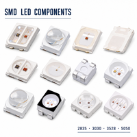 Puce LED SMD 2835 3030 3528 5050 5054 Double puce 1W Spectre complet Diode LED à émetteur plat ou bombé personnalisé Vente en gros