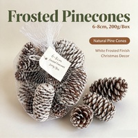 UMIN Cônes de pin séchés à pointe blanche 6-8cm 20 pièces Sac en filet Ornements rustiques en forme de cône de pin à suspendre Artisanat DIY écologique Noël
