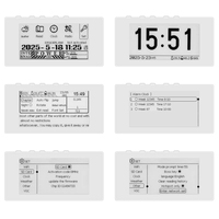 GGDX HAMGEEK RW01 Mini E-Ink Reader E-Book (Panel Putih) untuk Melihat Jam Cuaca, Alarm, File TXT EPUB