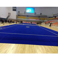 Tapis d'entraînement professionnel pour compétition de Wushu, tapis de Kung Fu chinois Wushu Taolu pour championnat 10*16m 12*8m