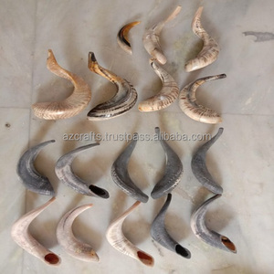 Corne de béliers naturels Shofar Offre passionnante Rosh Hashanah Corne de koudou yéménite - Product Image 6